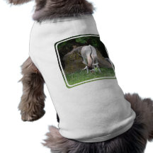 Addax  Pet Shirt