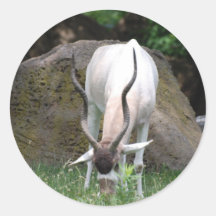 Addax  Stickers
