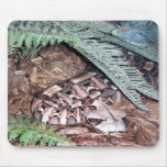 Adder Snake Mouse Pad mousepads