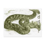Adder (snake) post cards
