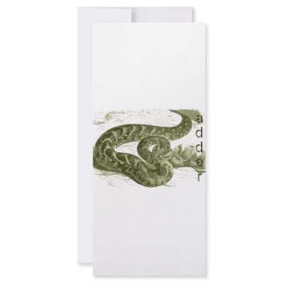 Adder (snake) full color rack card by biologybase