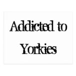 Addicted to Yorkies Post Cards