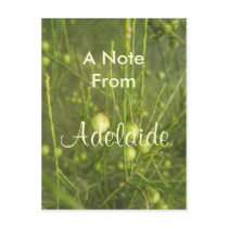 Adelaide Post Cards