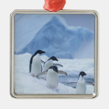 Adelie Penguins (Pygoscelis adeliae) on ice, Christmas Ornaments