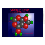 Adenine Molecule (card)