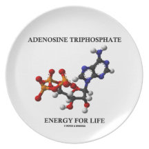 Adenosine Triphosphate Energy For Life Party Plates
