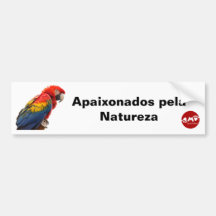 Adesivo para Carro