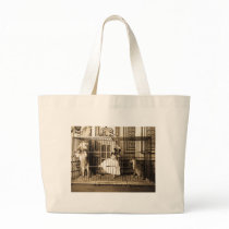 Adgie and Her Trained Lions1897 Bag