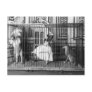 Adgie and Her Trained Lions 1897 Postcard