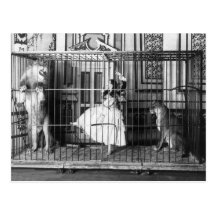 Adgie and Her Trained Lions 1897 Postcard