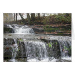 Adirondack Falls by Traveller Wendell cards