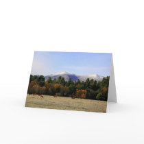 Adirondack farm note card