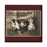 Adjie and the Lions 1899 Fridge Magnets