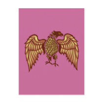 Adler eagle postkarten