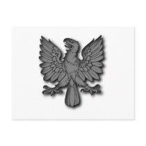 Adler eagle postkarten