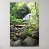 Adler Falls Poster