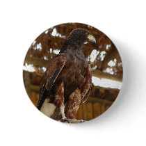 Adler sitzend button