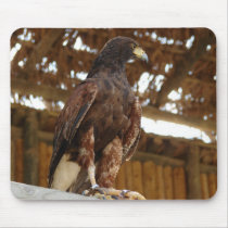 Adler sitzend mousepads