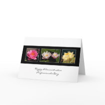 Admin Pro Day Water Lilies 3 pics blank front ,...