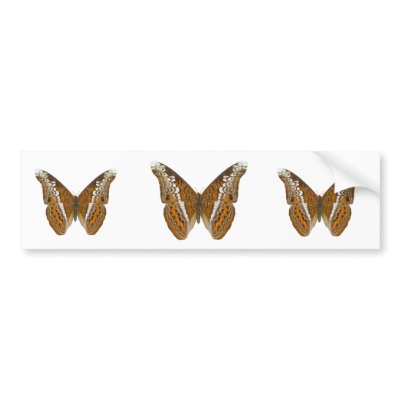 Admiral Butterfly Bumper Stickers by Bigboy20769