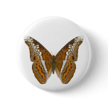 Admiral Butterfly buttons