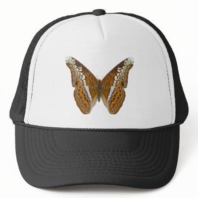 Admiral Butterfly Hats by Bigboy20769