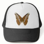 Admiral Butterfly hats