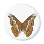 Admiral Butterfly magnets