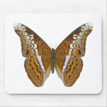 Admiral Butterfly Mouse Pads