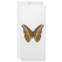 Admiral Butterfly Custom Rack Cards