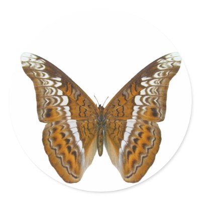 Admiral Butterfly Round Sticker by Bigboy20769