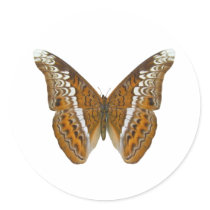 Admiral Butterfly Round Stickers