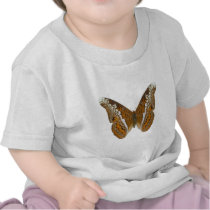 Admiral Butterfly Tee Shirt