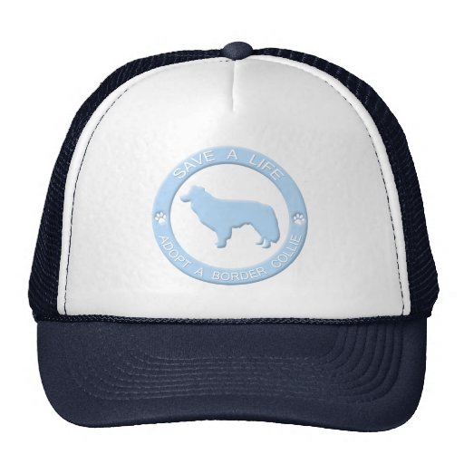 Adopt a Border Collie Hat
