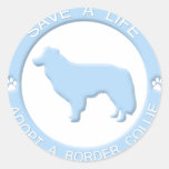 Adopt a Border Collie Stickers