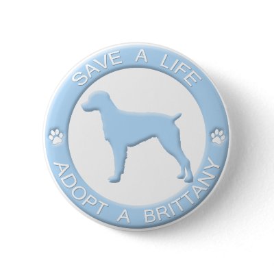 Adopt a Brittany Button by MenagerieMayhem