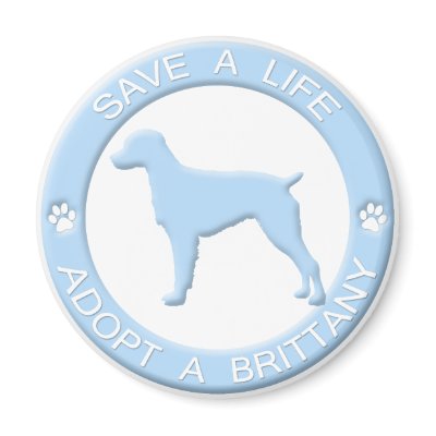 Adopt a Brittany Magnet by MenagerieMayhem