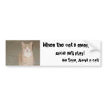 Adopt a Cat