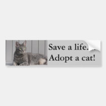 Adopt a Cat bumper stickers