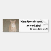 Adopt a Cat Bumper Stickers