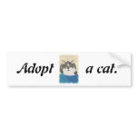 Adopt a cat promotion products bumper stickers