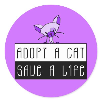 Adopt A Cat Save A Life Stickers - Purple by meetthemews