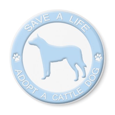 Adopt a Cattle Dog Magnet by MenagerieMayhem