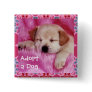 Adopt a Dog Button
