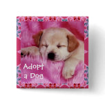 Adopt a Dog Button