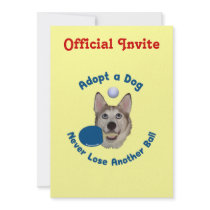 Adopt a Dog Ping Pong