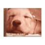 Adopt a Dog Postcard