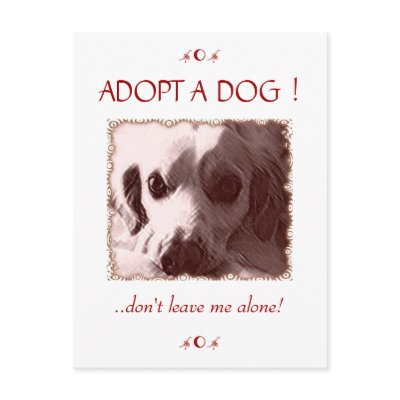 Adopt a Dog Postcard by elenaind
