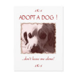 Adopt a Dog Postcard