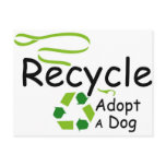 Adopt A Dog Post Cards